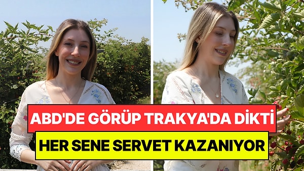 ABD'de Görüp Trakya'ya Dikti: Rekor Hasatla Servet Kazanıyor