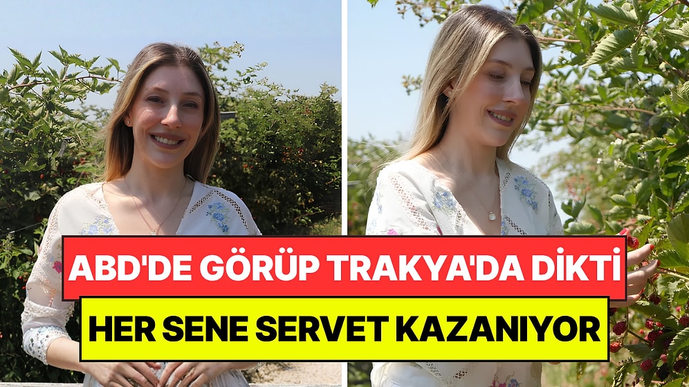 ABD'de Görüp Trakya'da Denedi: Her Sene Rekor Hasatla Servet Kazanıyor