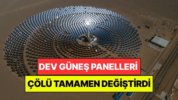 Çöle Dizdikleri Güneş Panelleri Bölgeyi Vahaya Dönüştürdü