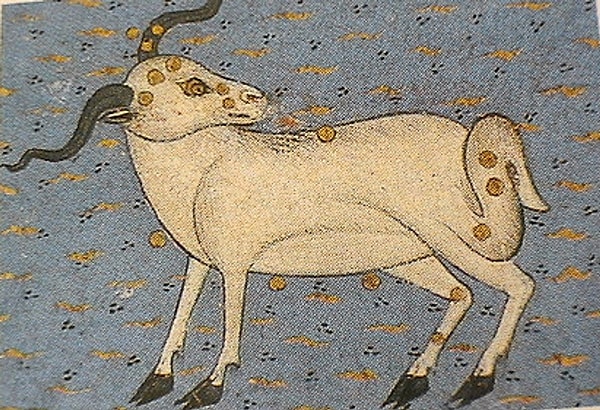 Koç Burcu: Hamel
