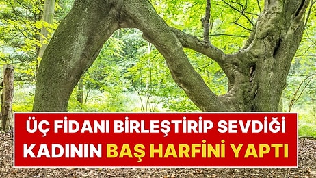 Sevdiği Kadının Baş Harfini Ağaca İşledi: 100 Yıldır Yaşıyor