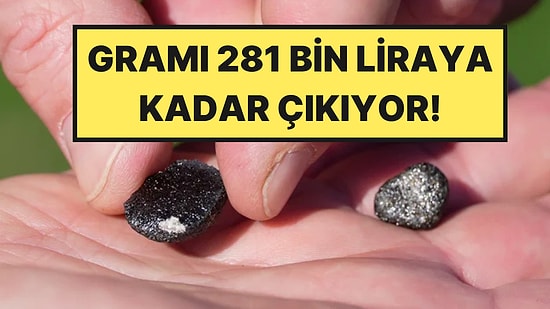 Yatak Odasına Düştü, Gramı 281 Bin Lira: Fiyatını Duyan Sokak Sokak Aramaya Çıktı