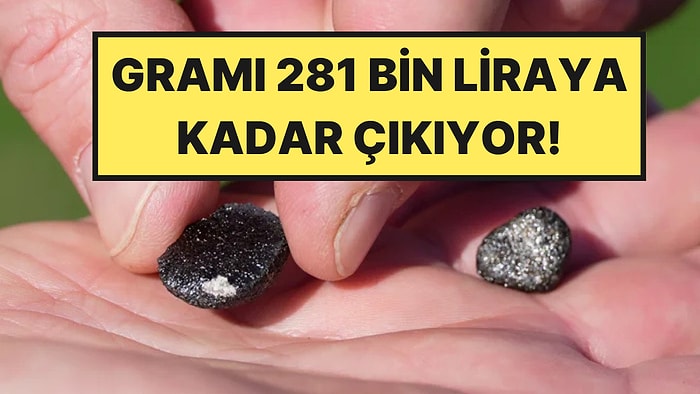 Yatak Odasına Düştü, Gramı 281 Bin Lira: Fiyatını Duyan Sokak Sokak Aramaya Çıktı