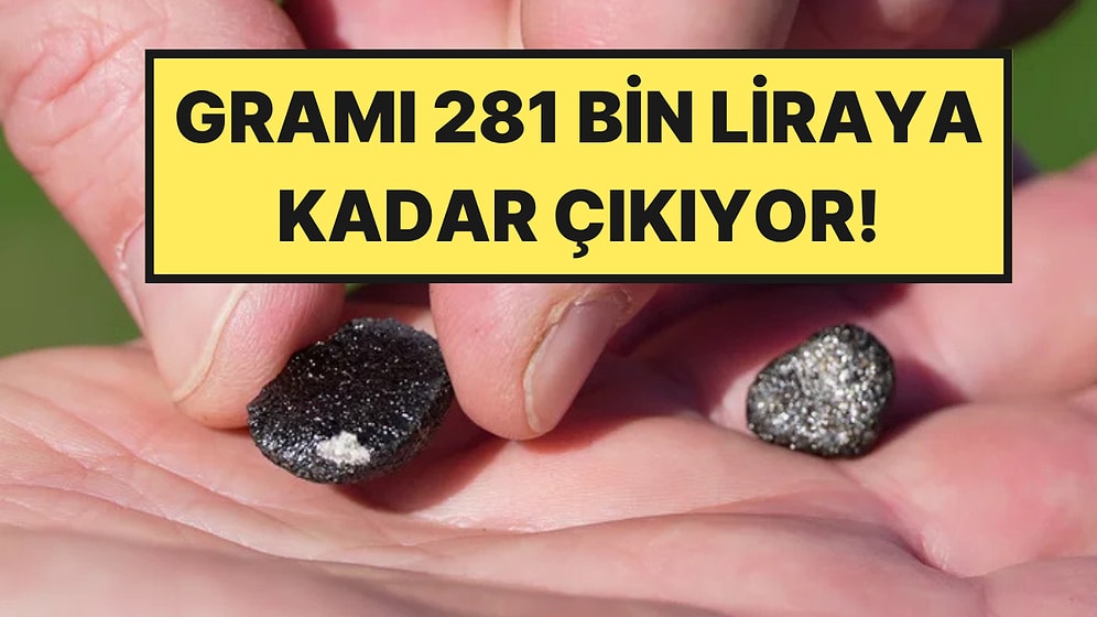 Yatak Odasına Düştü, Gramı 281 Bin Lira: Fiyatını Duyan Sokak Sokak Aramaya Çıktı