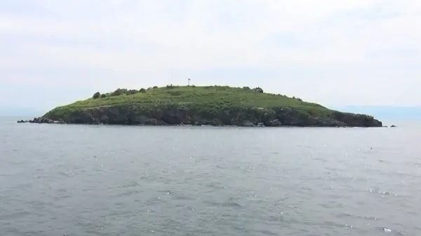 Uygulanan katı koruma kalkanının diğer büyük nedeni ise adayı çevreleyen derinliklerdeki hassas deniz yaşamı.
