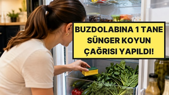 Buzdolabına 1 Tane Sünger Atan O Çileden Kurtuluyor: Ne Koku Kalıyor Ne Çürüme