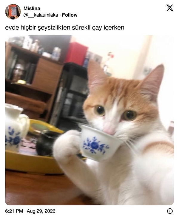 İşsizlik çayı.