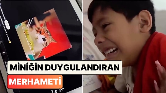 Yapay Zeka Kedi Videosu İzlerken Ağlamaktan Perişan Olan Çocuğun Saf Merhameti Duygulandırdı