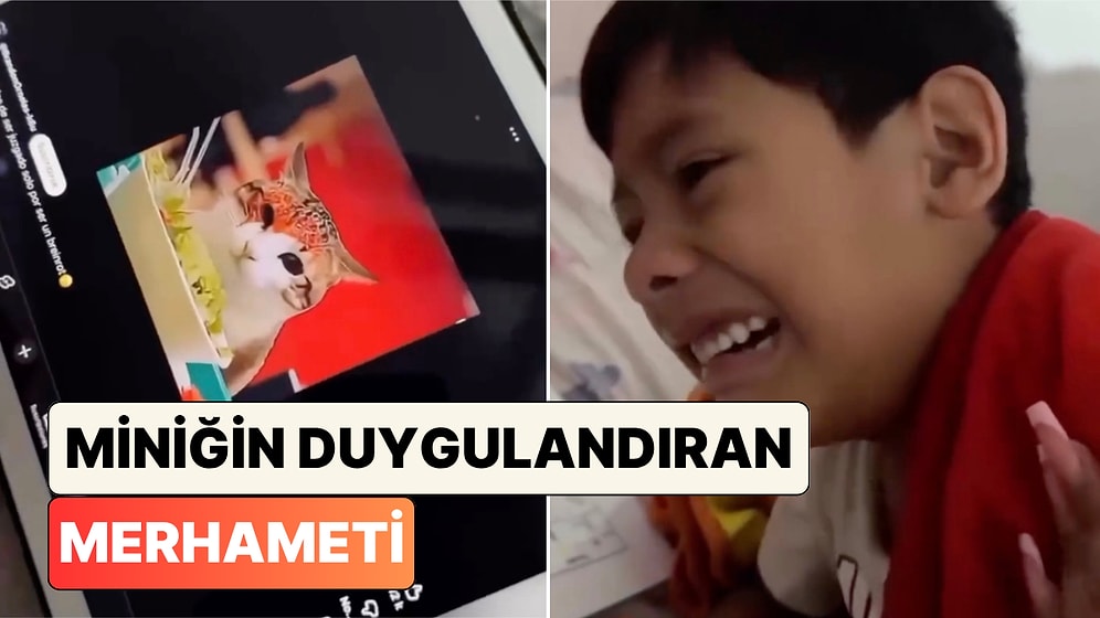 Yapay Zeka Kedi Videosu İzlerken Ağlamaktan Perişan Olan Çocuğun Saf Merhameti Duygulandırdı