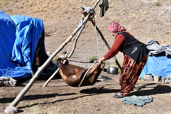 Beytüşşebap’a 40 kilometre uzaklıkta bulunan Boğazöğren köyü Gosine Yaylası, ilkbahar aylarından bu yana bölge halkının ekmek kapısı oldu.