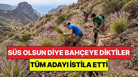 Süs Olsun Diye Diktikleri Bitki Koca Adayı İstila Etti: 15 Yıldır Kabusları Oldu