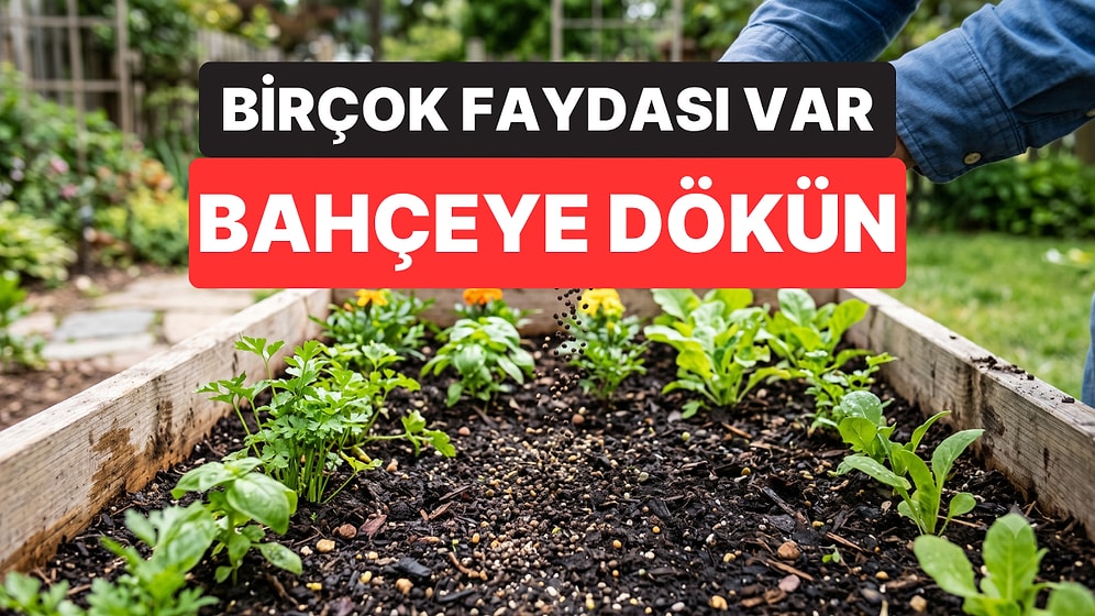 Bahçenize Karabiber Dökün Çağrısı Yapıldı