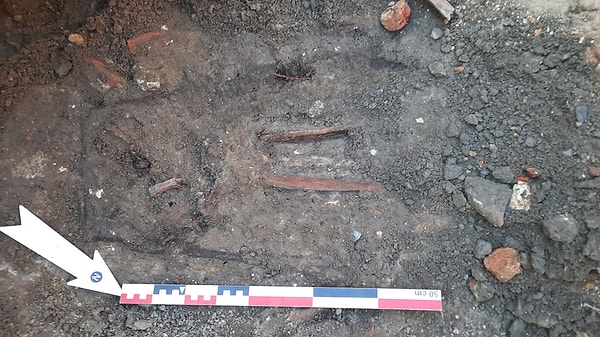 Ancak asıl şok, incelemenin kapsadığı 23 metrekarelik alanın tamamı hesaba katılınca geldi: 240 iskelet tahmini.