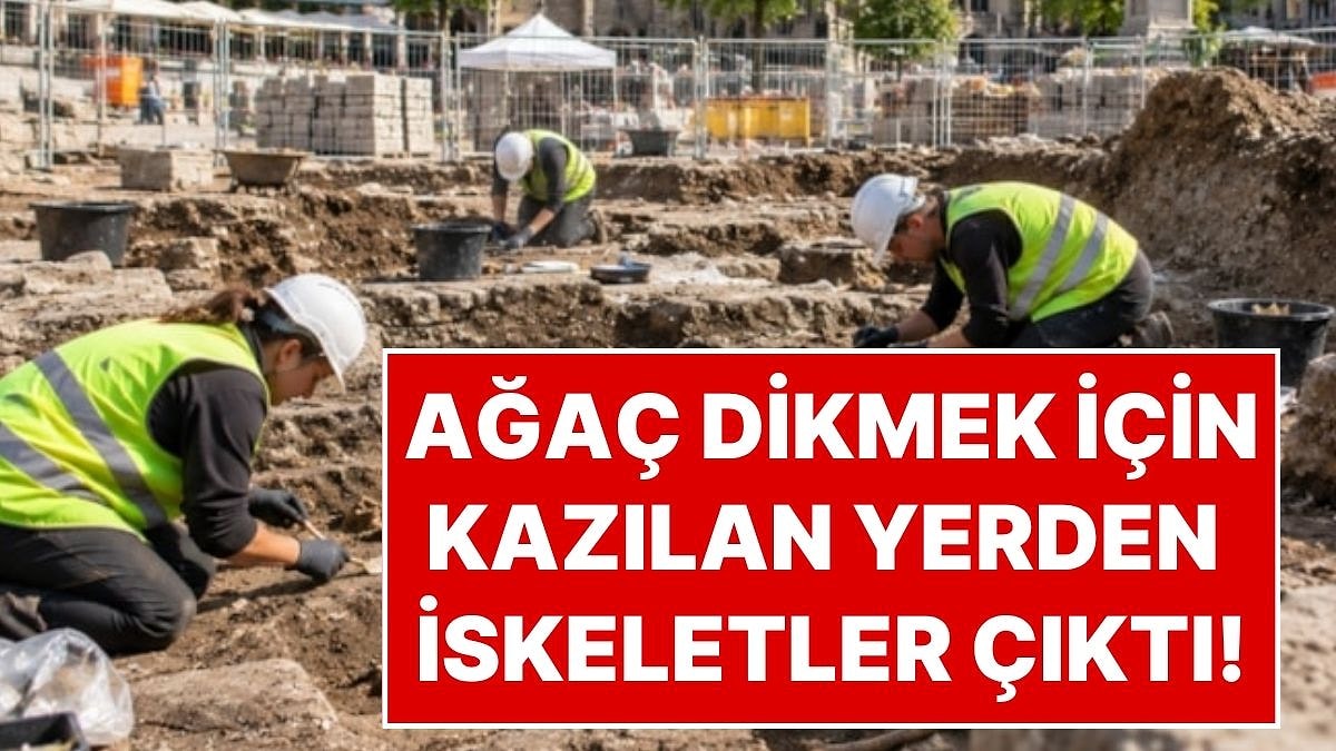 Şehrin Göbeğinde Ağaç Dikmek İçin Kazı Yaptılar: Kazdıkları Yerden Yüzlerce İskelet Çıktı