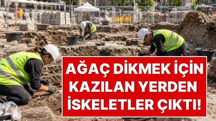 Şehrin Göbeğinde Ağaç Dikmek İçin Kazı Yaptılar: Kazdıkları Yerden Yüzlerce İskelet Çıktı
