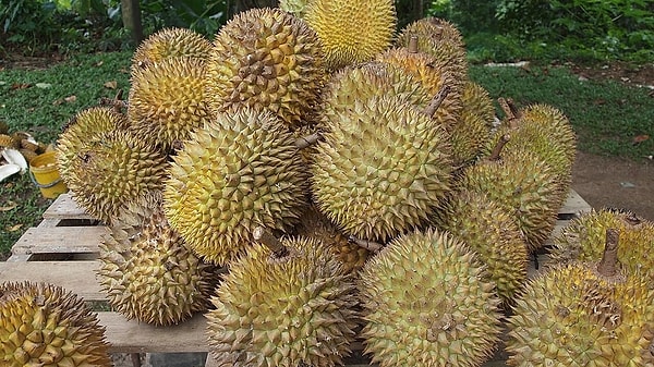 Çok Yüksek Düzey