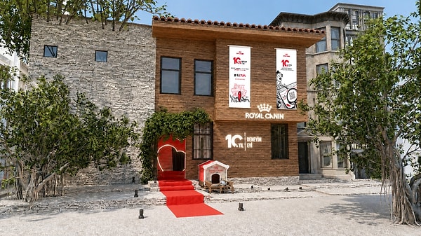 Bilgiden deneyime, deneyimden topluluğa