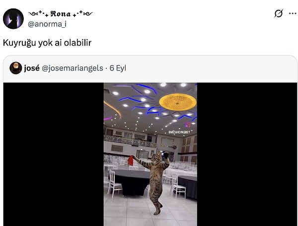 İyi yakalamışsın.