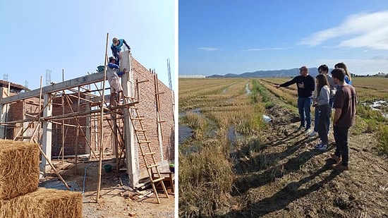 Turning Agricultural Waste Into Insulation: Rice Straw Project GO STRAWMAT Transmutes Homes