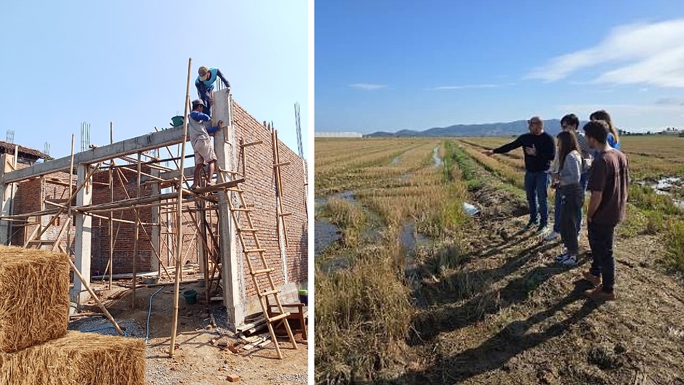 Turning Agricultural Waste Into Insulation: Rice Straw Project GO STRAWMAT Transmutes Homes