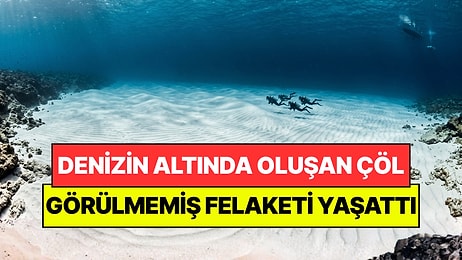 Denizin Altında 12 Kilometrelik Çöl Oluştu: 21 Balık Türünden Sadece 3’ü Kaldı