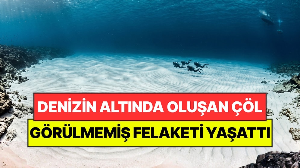 Denizin Altında 12 Kilometrelik Çöl Oluştu: 21 Balık Türünden Sadece 3’ü Kaldı