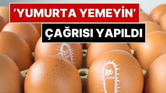Yumurta Alarmı Büyüyor: Belçika'da Salmonella Vakası 318'e Çıktı, Halka 'Tüketmeyin' Uyarısı Yapıldı