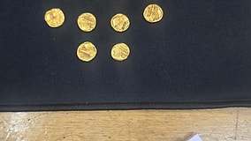 Hidden Treasure Uncovered: Construction Workers Strike Gold in Sewer Line Excavation