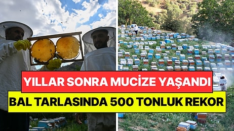 Yıllar Sonra İlk Kez Mucizeyi Yaşandılar: Hasatta 500 Tonluk Rekor Bekleniyor