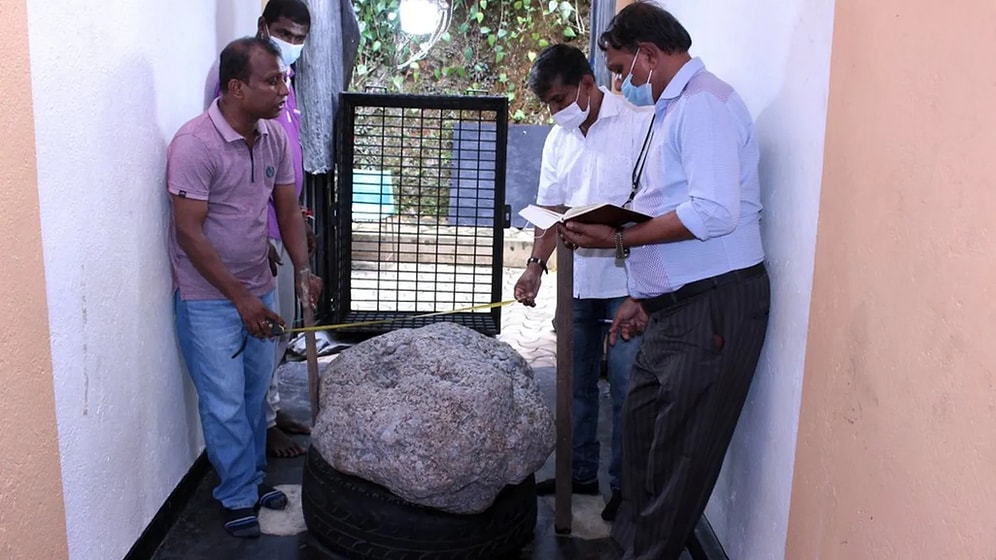 Workers Digging a Backyard Well Stumble Upon a Massive 510kg Fortune