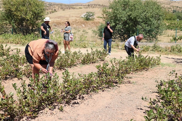 Rehberler Farklı Deneyimlerin Turistler Üzerinde Olumlu Etki Bıraktığını Belirtiyor