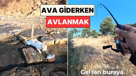 Kim Av Kim Avcı? Balık Tutan Bir Adam Yakaladığı Balığı Oltayla Birlikte Bir Kediye Kaptırdı