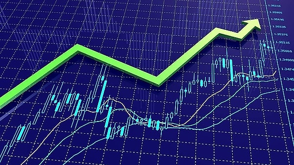 BIST 100 dışındaki hisseler bazı yıllarda borsanın yıldızını bile gölgede bıraktı.
