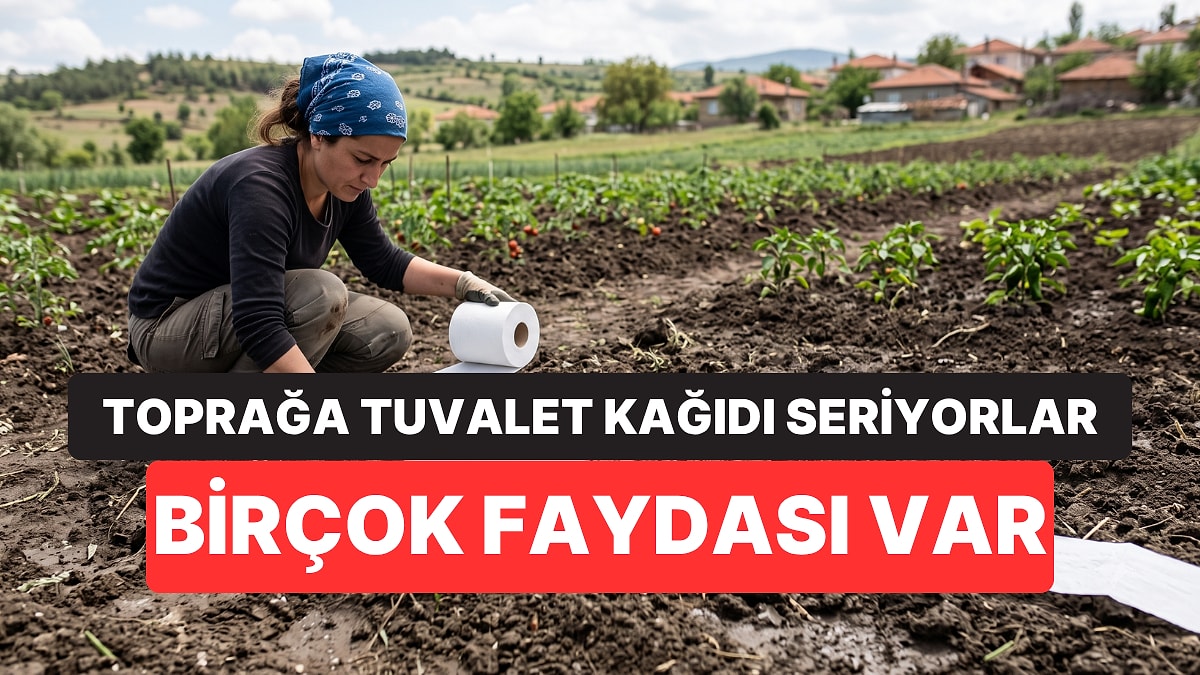 Bahçelerine Tuvalet Kağıdı Sermeye Başladılar! Meğer Nedeni Bambaşkaymış