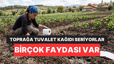 Bahçelerine Tuvalet Kağıdı Sermeye Başladılar! Meğer Nedeni Bambaşkaymış