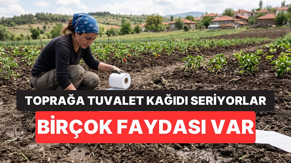 Bahçelerine Tuvalet Kağıdı Sermeye Başladılar! Meğer Nedeni Bambaşkaymış