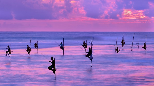 Zirvedeki İsim Sri Lanka!