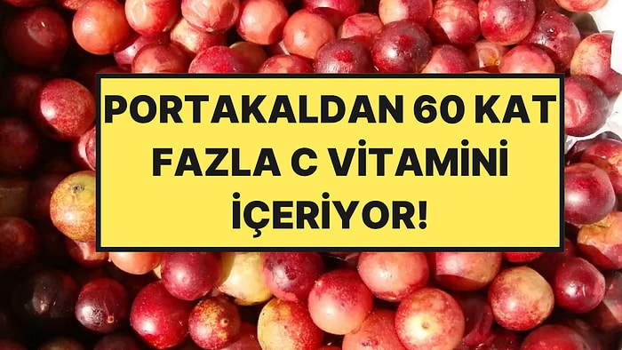 Portakaldan 60 Kat Fazla C Vitamini Var: Kilo Alımını da Yüzde 50 Azaltıyor