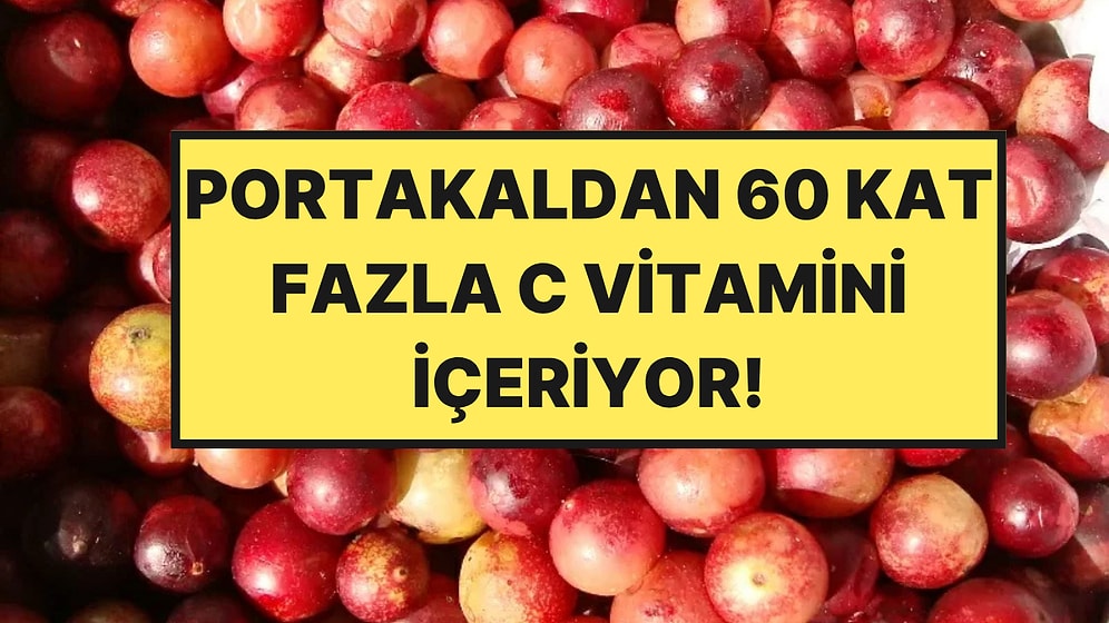 Portakaldan 60 Kat Fazla C Vitamini Var: Kilo Alımını da Yüzde 50 Azaltıyor