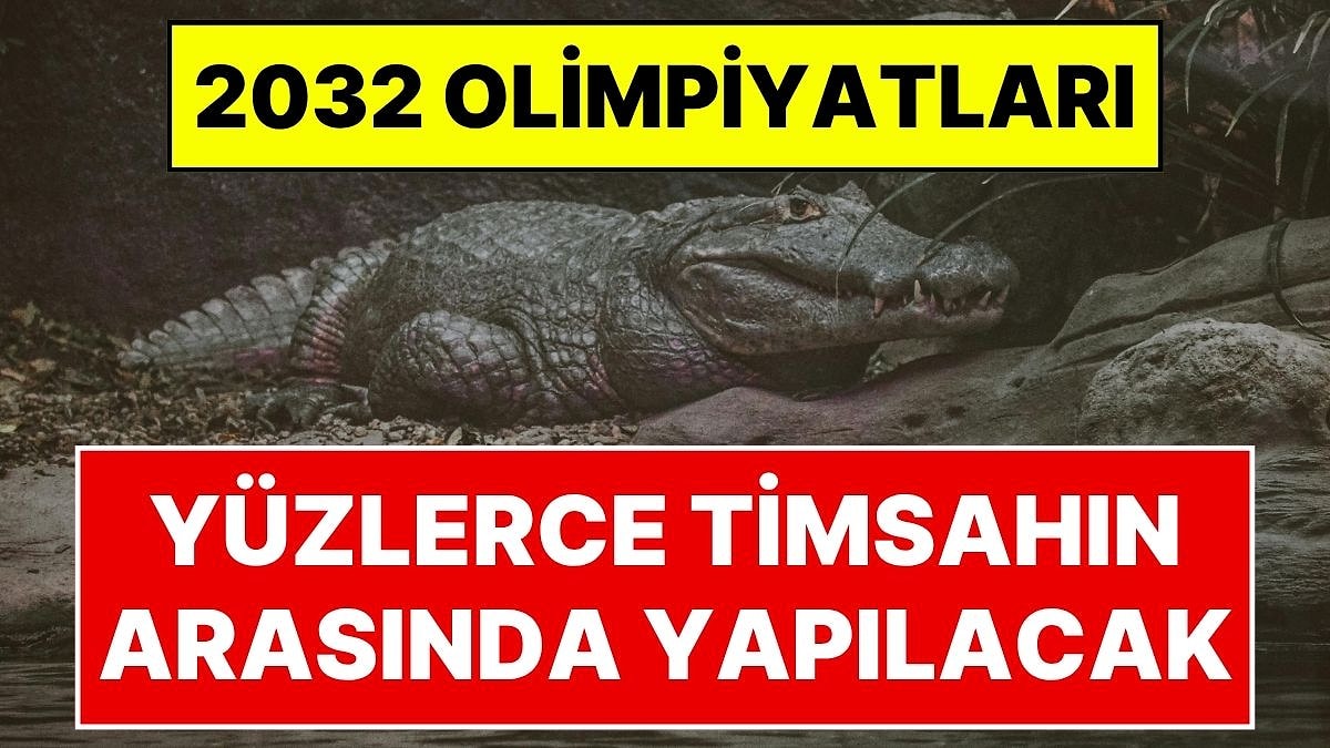 2032 Brisbane Olimpiyatları Kürek Yarışları, Timsahların Yaşadığı Fitzroy Nehri'nde Yapılacak