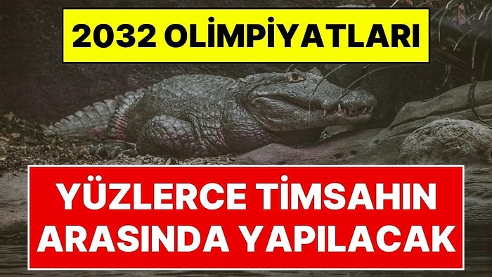 2032 Brisbane Olimpiyatları Kürek Yarışları, Timsahların Yaşadığı Fitzroy Nehri'nde Yapılacak