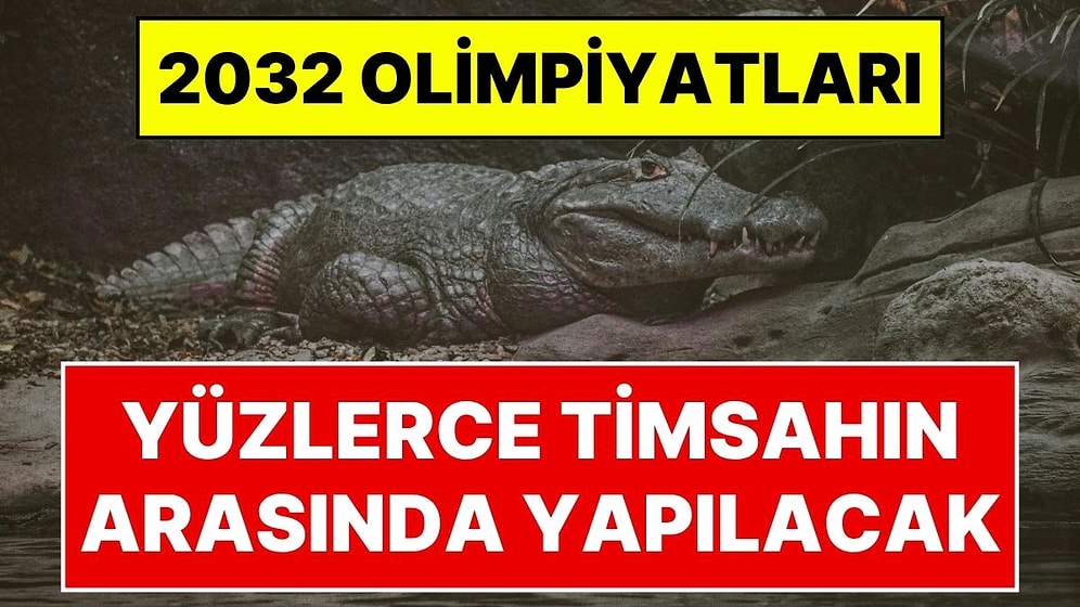 2032 Brisbane Olimpiyatları Kürek Yarışları, Timsahların Yaşadığı Fitzroy Nehri'nde Yapılacak