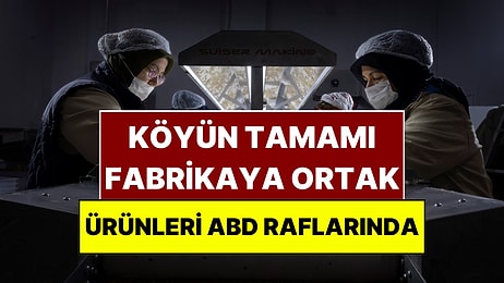 Sakarya'nın Bir Köyü Fabrikaya Dönüştü: Ürettikleri Çikolata Amerika'ya Gitti