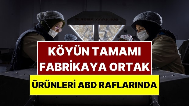 Sakarya'nın Bir Köyü Fabrikaya Dönüştü: Ürettikleri Çikolata Amerika'ya Gitti