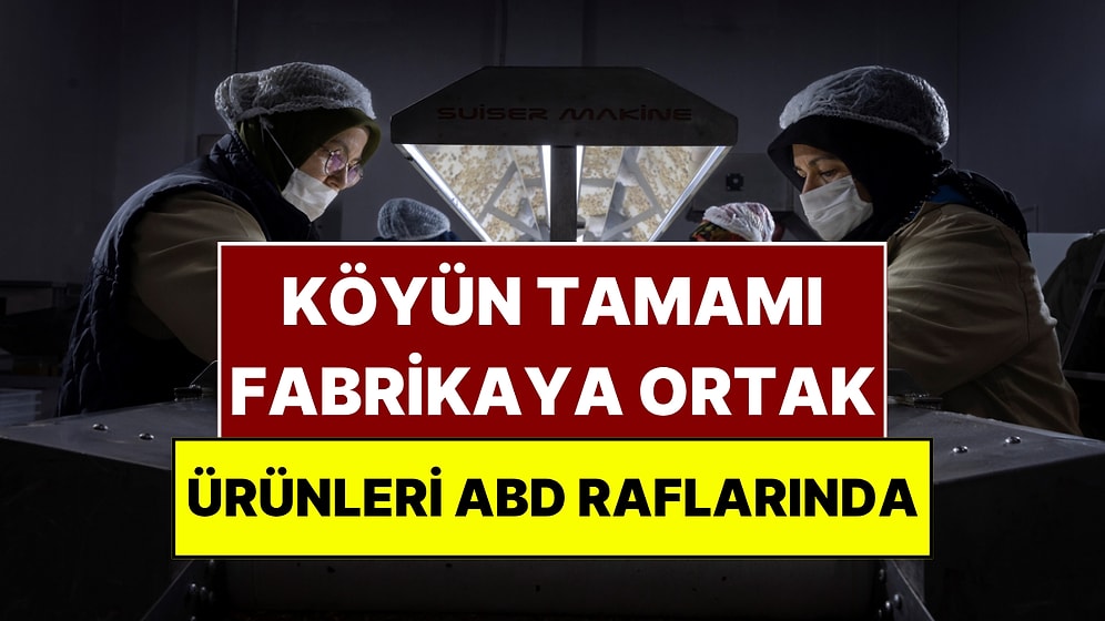 Sakarya'nın Bir Köyü Fabrikaya Dönüştü: Ürettikleri Çikolata Amerika'ya Gitti