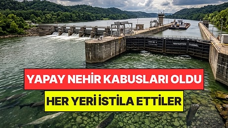 İnşa Ettikleri Yapay Nehir En Büyük Kabusları Oldu: Her Yeri İstila Etmeye Başladılar