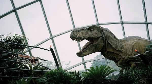 Kuşu Muhtemelen Bir T.Rex Yedi