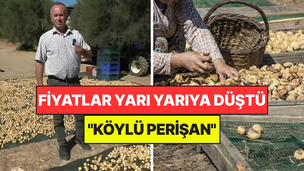 Geçen Sene Fiyatı 250 liraydı, Bu Yıl 100 Liraya Kadar Düştü: "Satamıyoruz, Köylü Perişan"