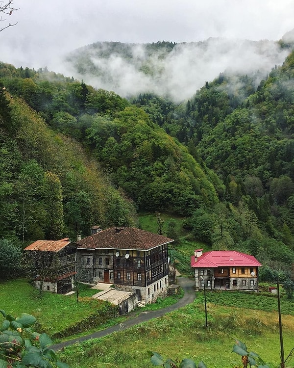 Karadeniz