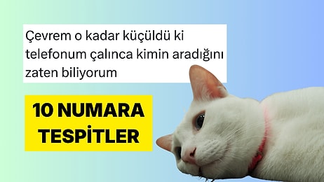 Hayata Dair Tespitlerini Mizah Sosuyla Paylaşan Kişiler